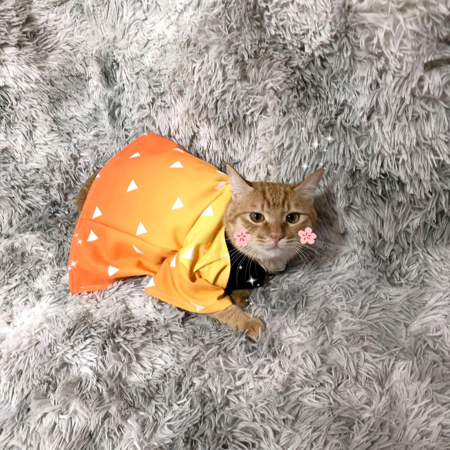 Demon Slayer Pet Cloak