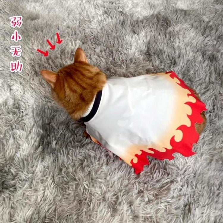 Demon Slayer Pet Cloak