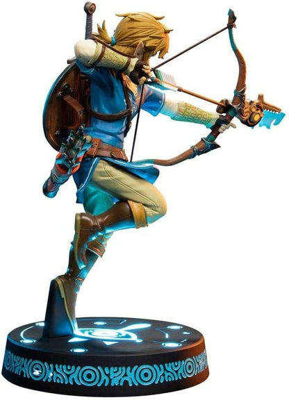 Link's Figure