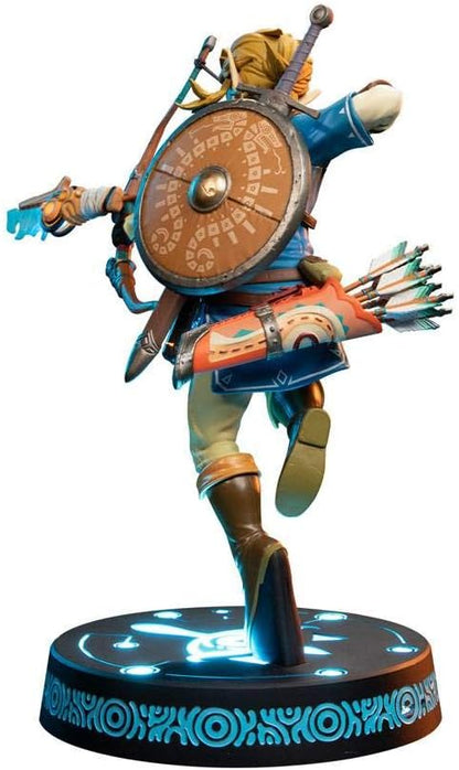 Link's Figure