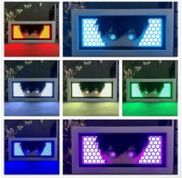 Multicolor light with control