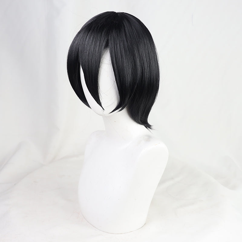 Mikasa Ackerman Wig