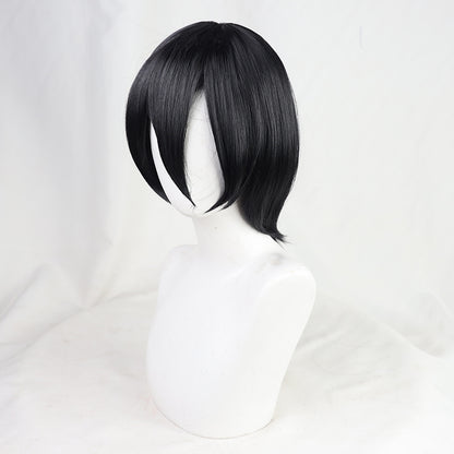 Mikasa Ackerman Wig