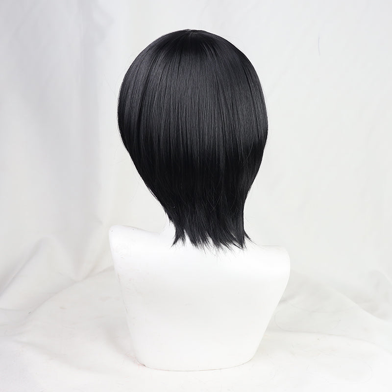 Mikasa Ackerman Wig