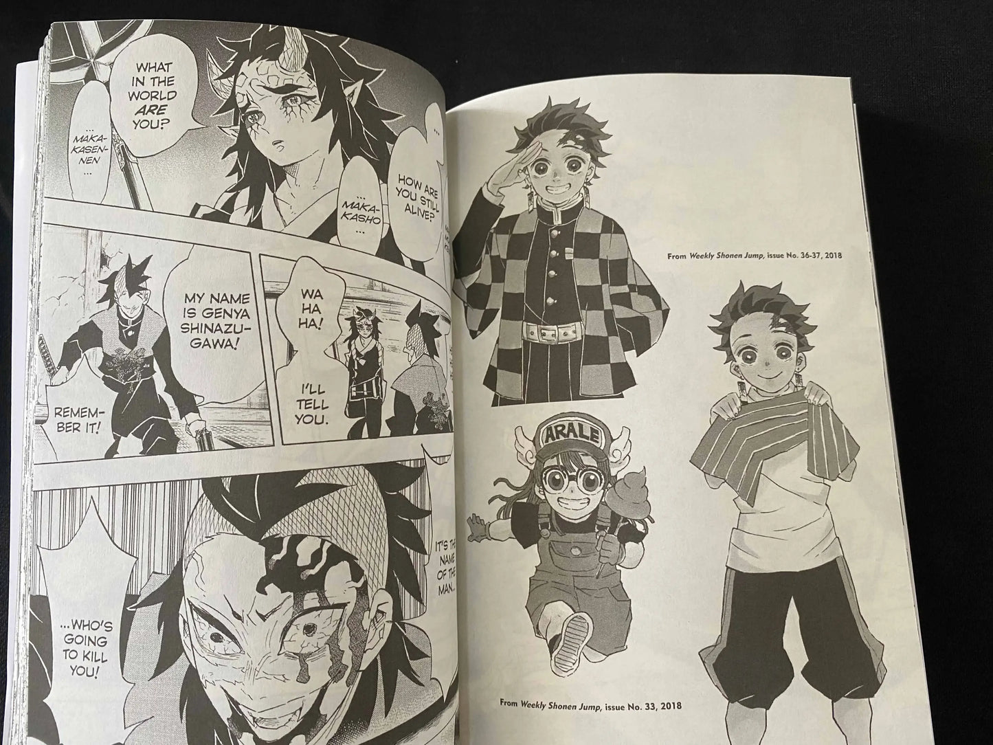 Demon Slayer Kimetsu No Vol 1-23 Yaiba Japan Youth Teen Fantasy Science Mystery Suspense Manga Comic Book Manga Books in English