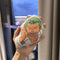 Zoro 2