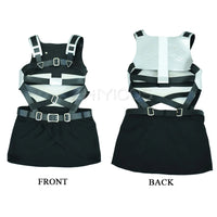 Belt Set and Apron
