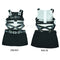 Belt Set and Apron