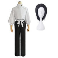 Costume Wig